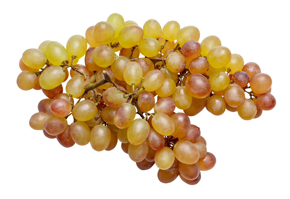 grapes image, grapes png, grapes png image, grapes transparent png image, grapes png full hd images download
